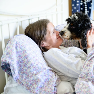 A Cocker Spaniel nuzzling their deaf partner while the partner is in bed