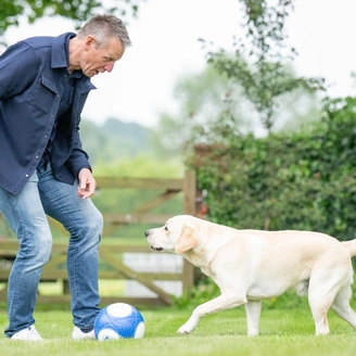 A man and a yellow Labrador playing with a blue and white football in a grassy field.